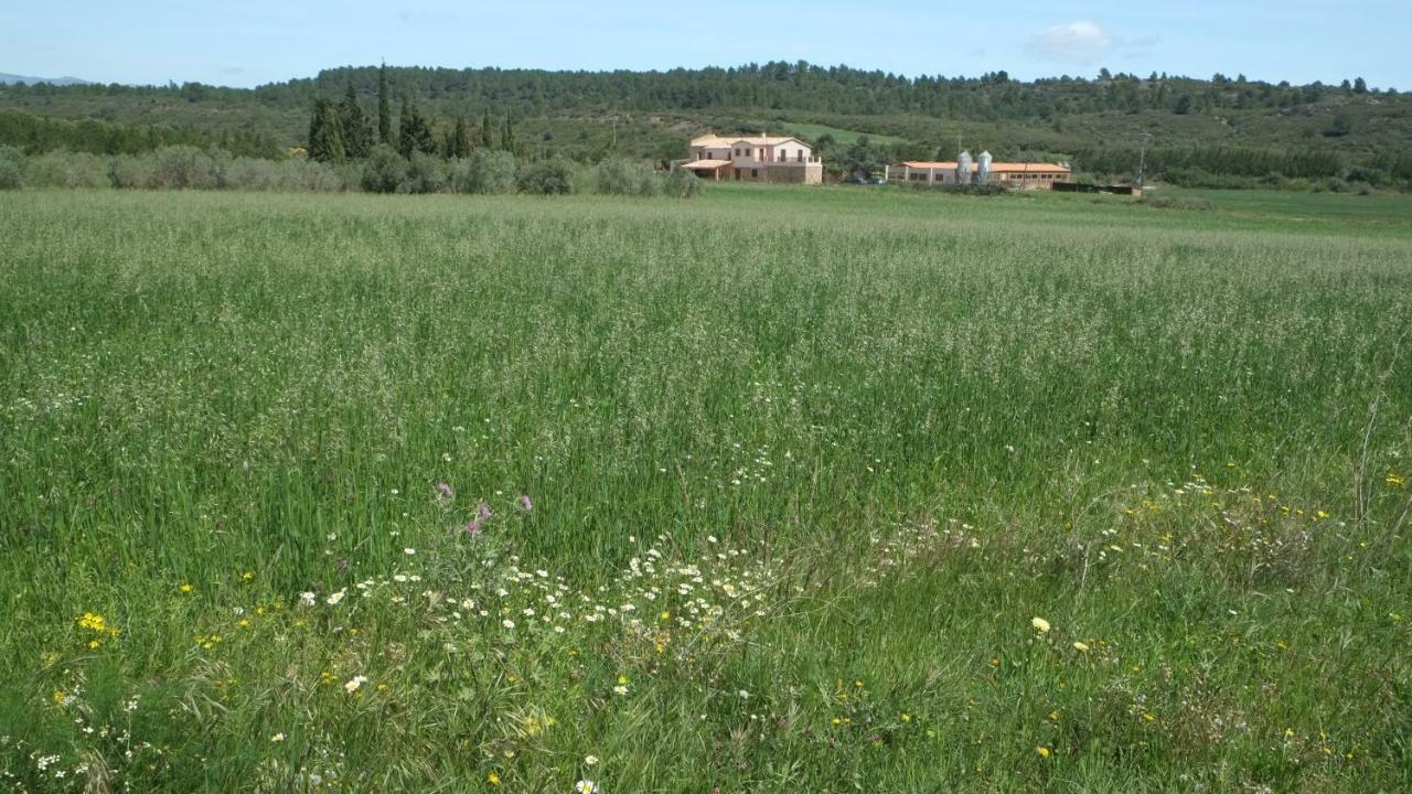 La Masia De Montpedros ペレラダ エクステリア 写真